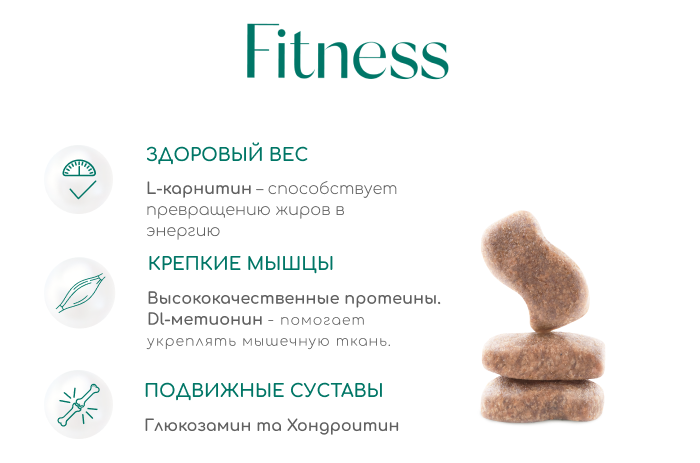 Сухой корм для котов Optimeal Beauty: обзор на холистик рационы известного украинского бренда